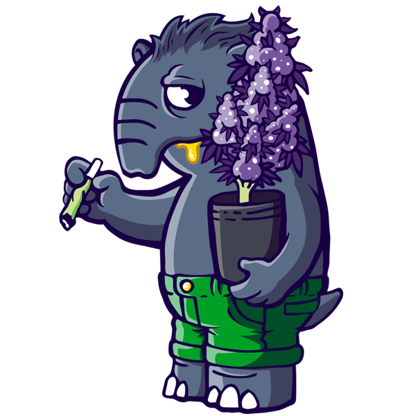 Tapir con una planta en maceta